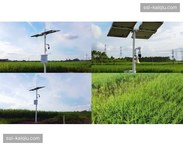 二次创作与用户生成内容正被纳入体育传播服务的版权生态。