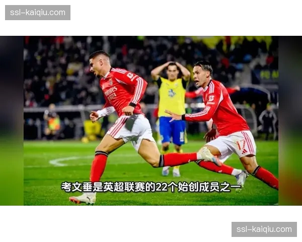 英超升降级机制评估：狼队降级与考文垂升级反映联赛竞争生态变化